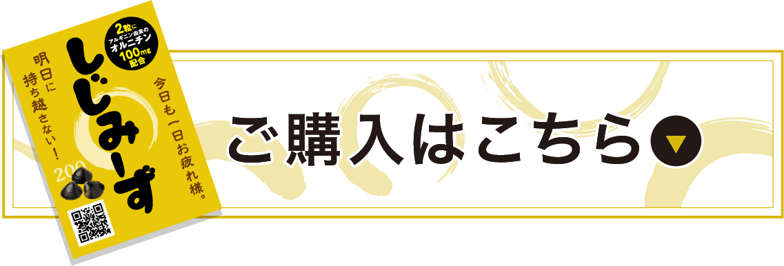 ご購入はこちら